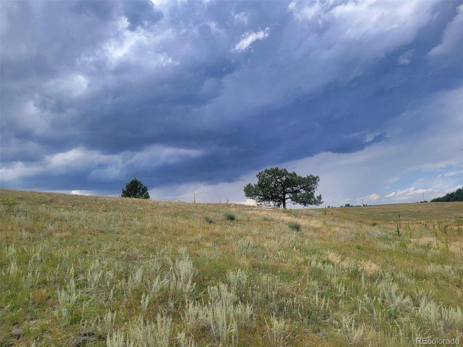 3619 County Road 106