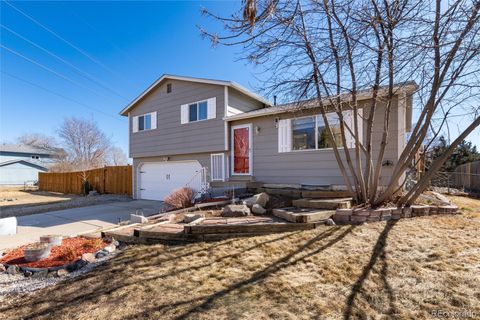 Photo of 6530 W 111th Avenue, Westminster, CO 80020 (MLS # 5323643)