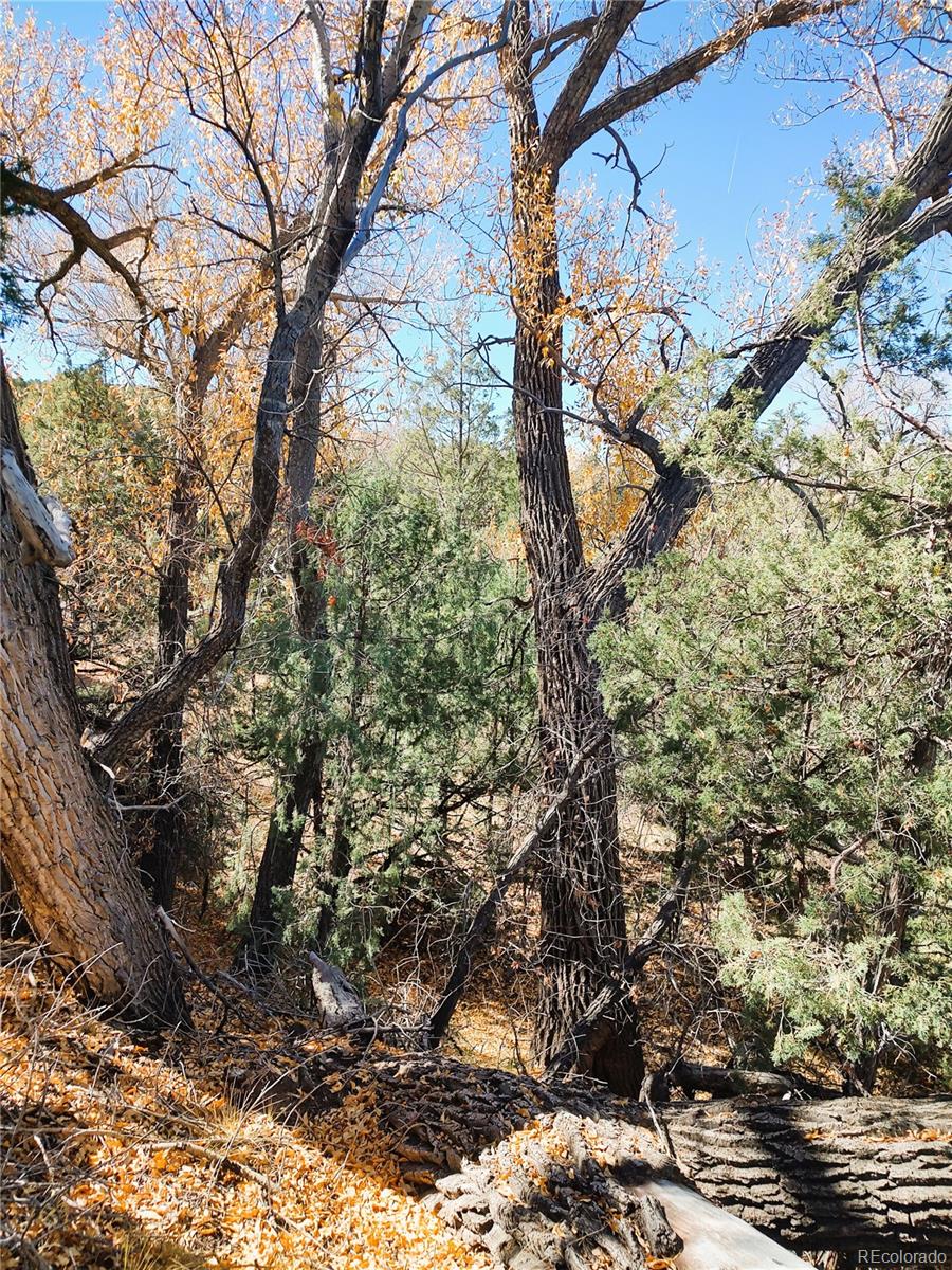 Indian Creek Road
