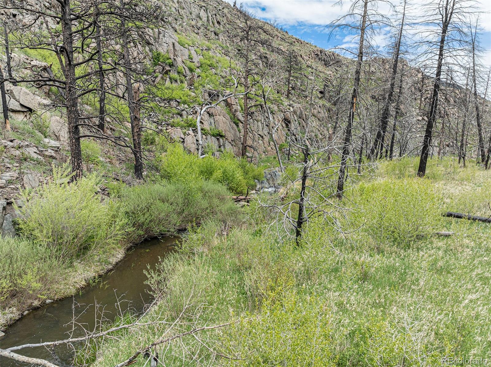 439 Redtail Ridge Way