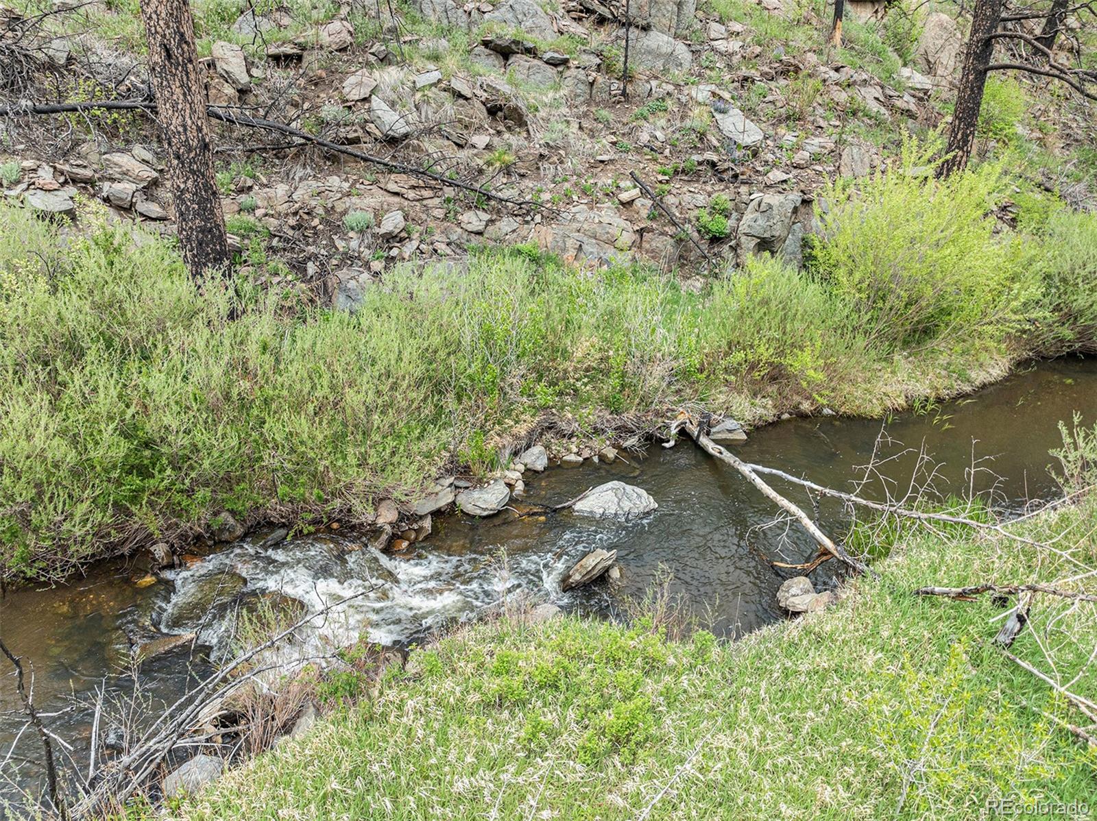 439 Redtail Ridge Way