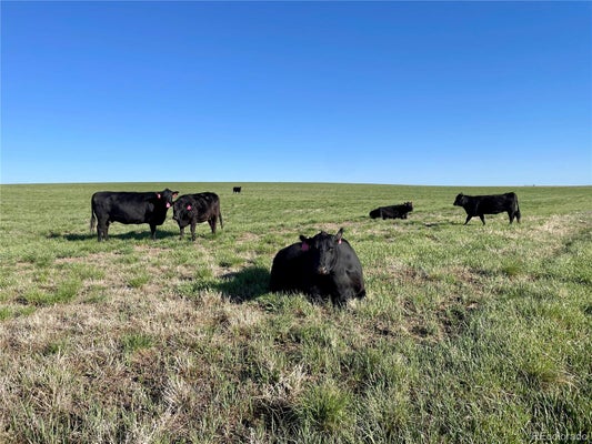 COUNTY ROAD 125, DEER TRAIL, CO 80105 - Image 26b1907e3563f4e93f415c827976b512/501418326