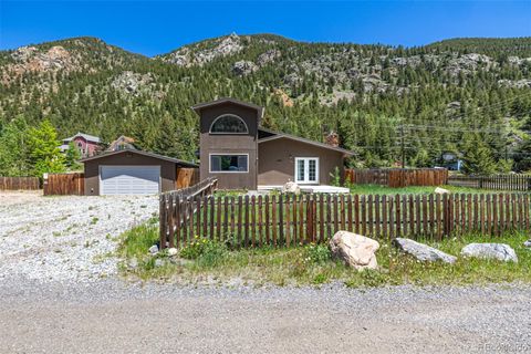 1500 Buckeye Circle Georgetown CO 80444