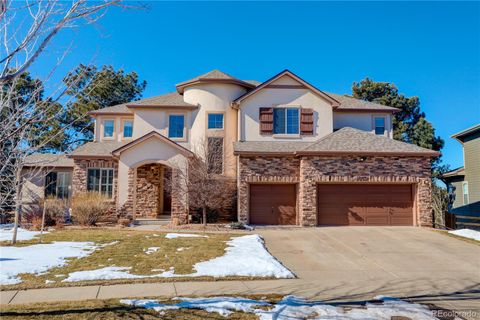 12149 S Leaning Pine Court, Parker, CO 80134 - #: 9825540