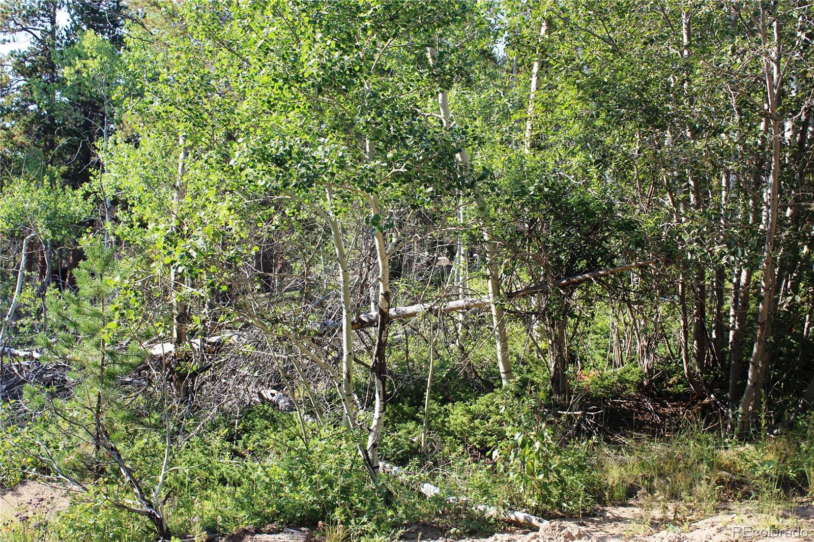 Lot 028 Sunflower Lane