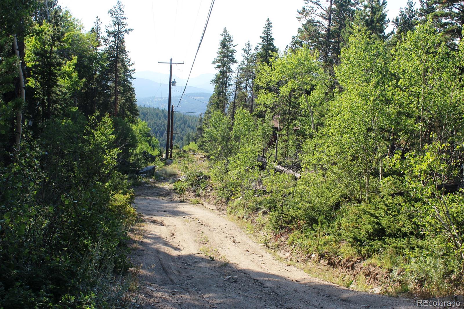 Lot 028 Sunflower Lane