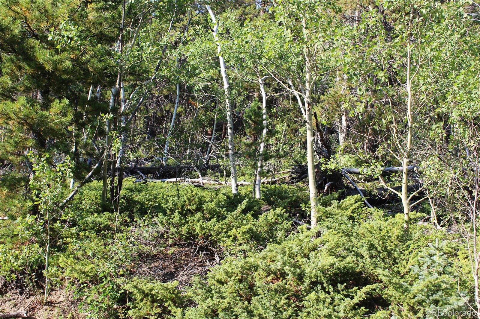 Lot 028 Sunflower Lane