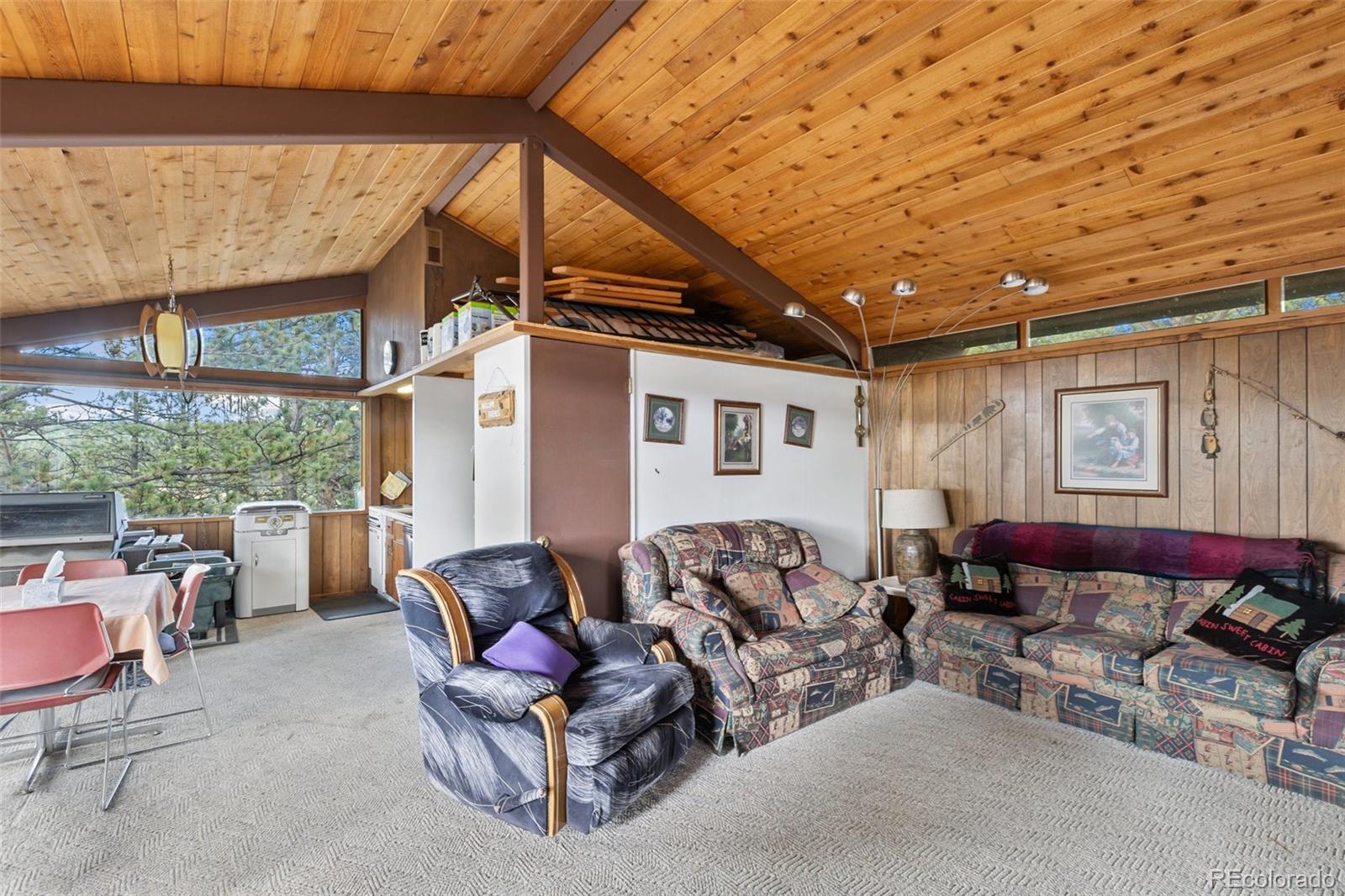 65 Mesa Drive, Florissant, CO, 80816 3 65 Mesa Drive