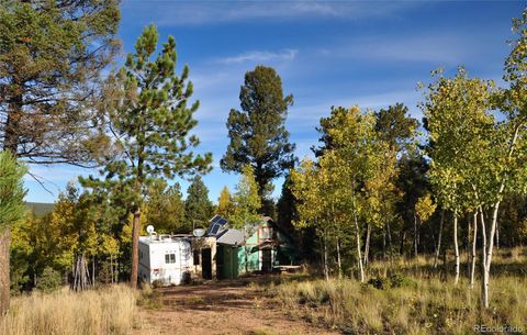 1299 Rangeview Road, Divide, CO 80814 - #: 7441657