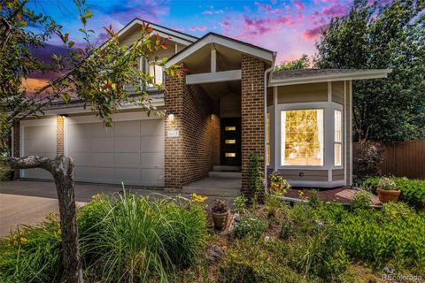 Single Family Residence in Highlands Ranch CO 8613 Maplewood Drive 43.jpg