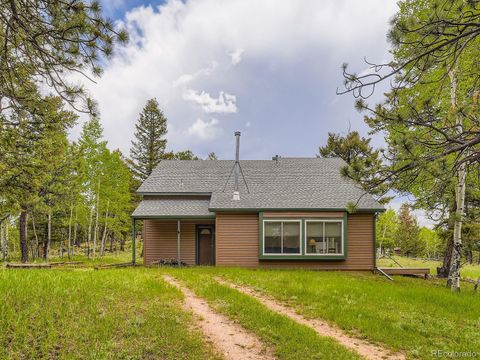 52 Branding Iron Lane Bailey CO 80421