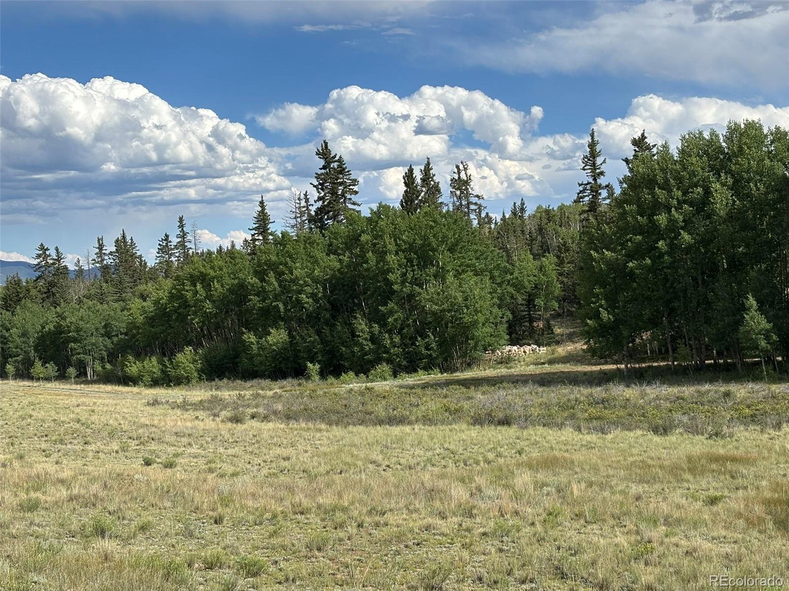 702 Pinto Trail