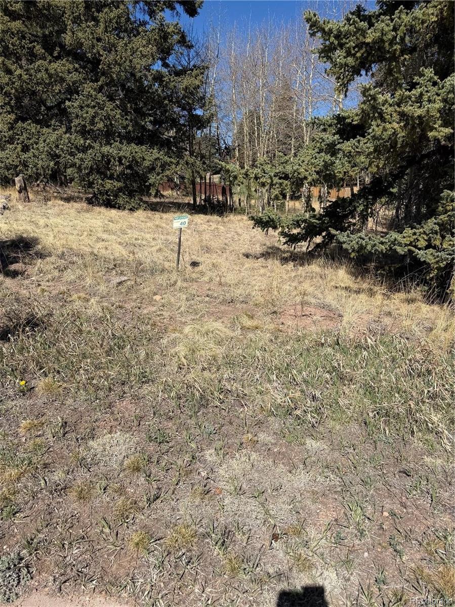 405 Meadow Park Drive