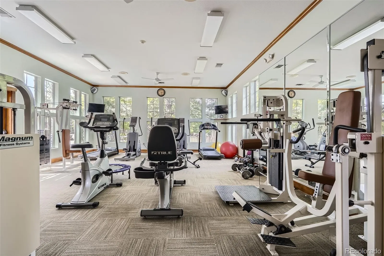 Littleton, Colorado 80127, United States, 2 Bedrooms Bedrooms, ,2 BathroomsBathrooms,Residential,Active,149824