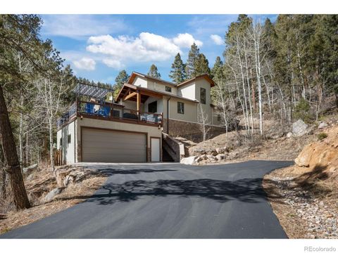 31468 Kings Valley W Conifer CO 80433