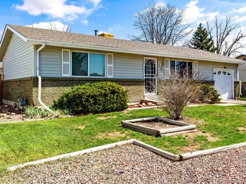 4585 W 87th Avenue, Westminster, CO 80031 - MLS#: 9176576