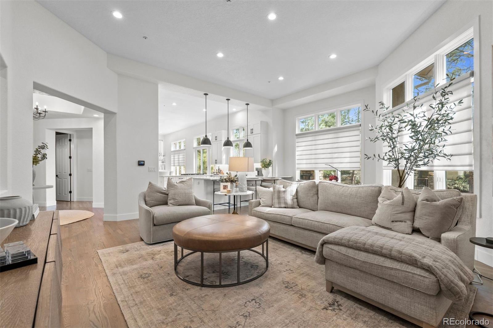 4517 Silver Cliff Court