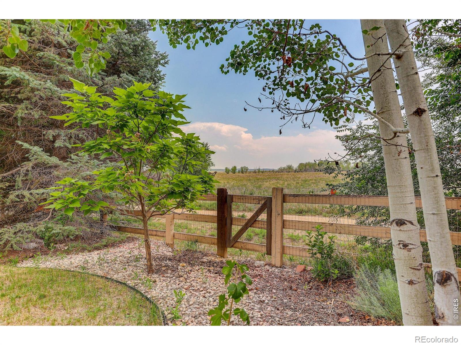 1664 Westin Drive