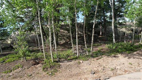 Unimproved Land in Woodland Park CO 214 Arapahoe Drive.jpg
