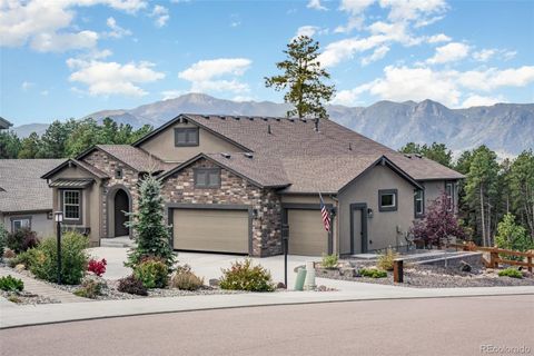 Photo of 842 Tree Bark Terrace, Monument, CO 80132 (MLS # 9466697)