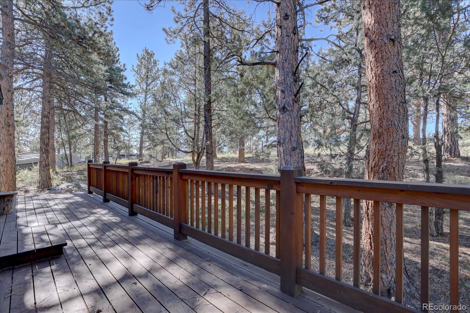 1999 Roland Drive, Bailey, CO, 80421 3 1999 Roland Drive