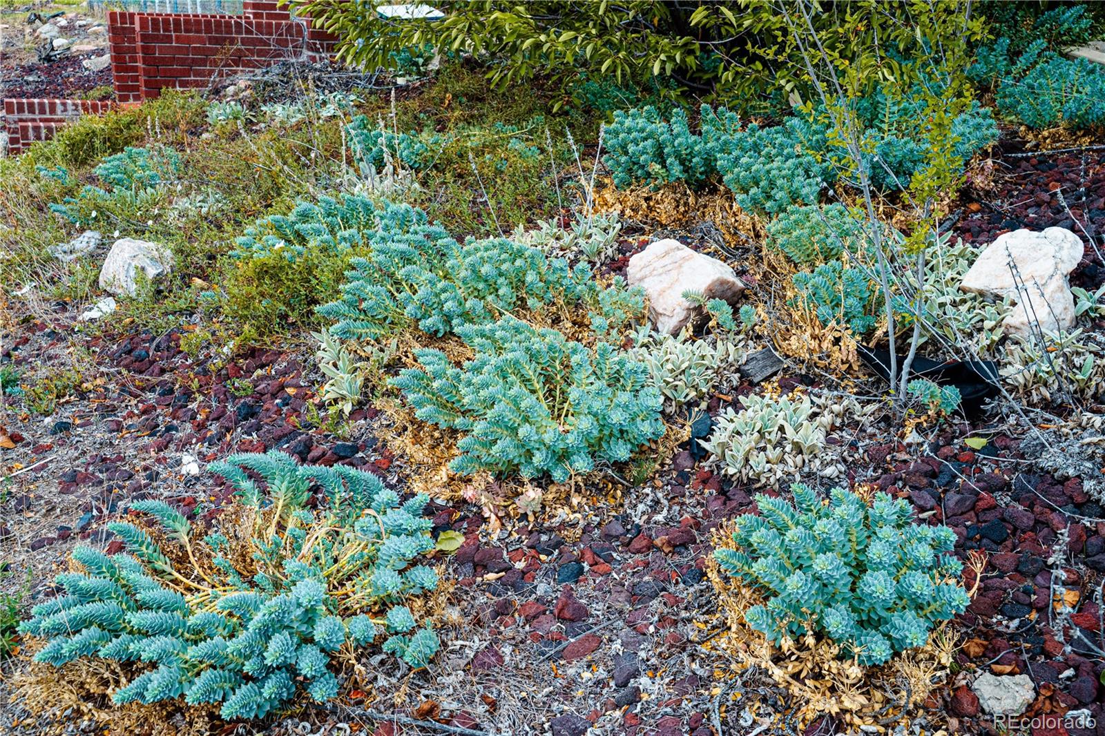 3595 W 80th Avenue, Westminster, CO, 80030 1 3595 W 80th Avenue