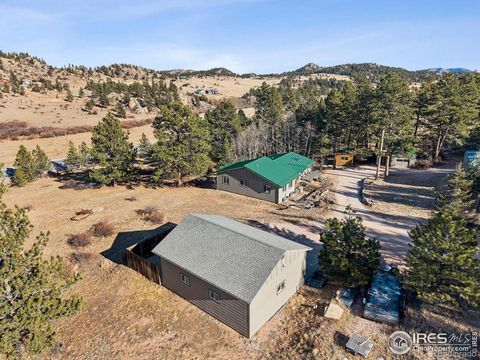 150 Mount Fisher Court Livermore CO 80536