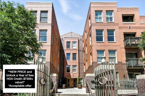 1631 N Emerson Street 207 Denver CO 80218