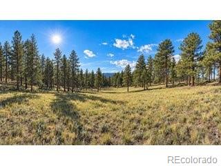 18677 State Highway 7