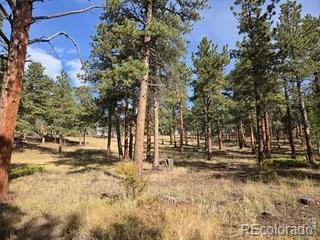 18677 State Highway 7