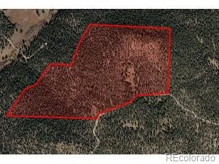 18677 State Highway 7