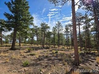 18677 State Highway 7