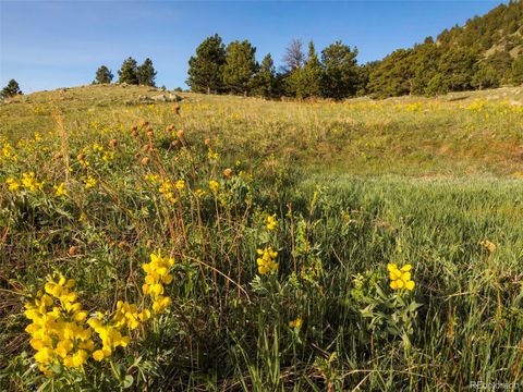 Unimproved Land in Arvada CO 73 Canyon Pines Drive 31.jpg