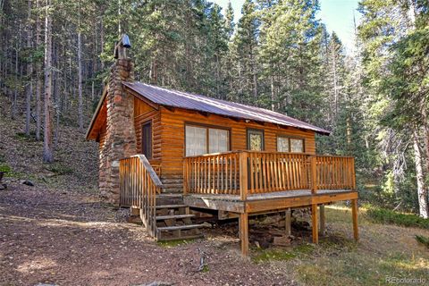 Photo of 104 Usfs #383, Divide, CO 80814 (MLS # 7136619)