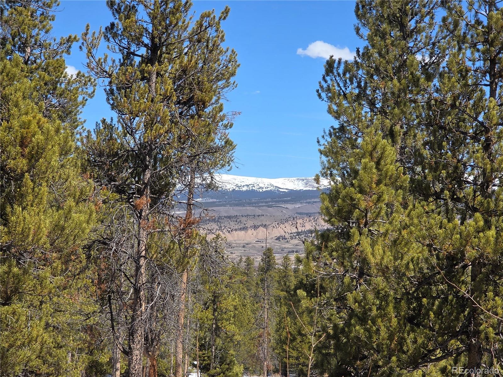 379 Lodgepole Drive