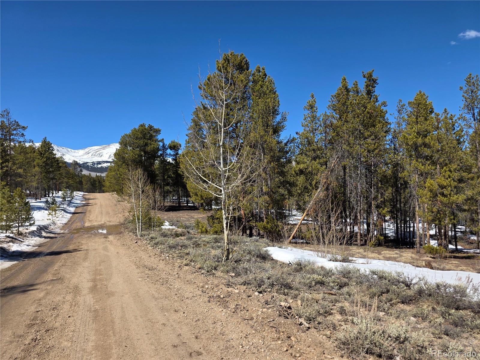 379 Lodgepole Drive