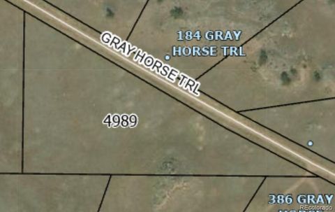 Gray Horse Trl, Hartsel, CO 80449 - #: 8856653