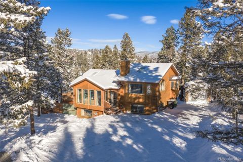 Photo of 121 Iris Drive, Bailey, CO 80421 (MLS # 3769760)