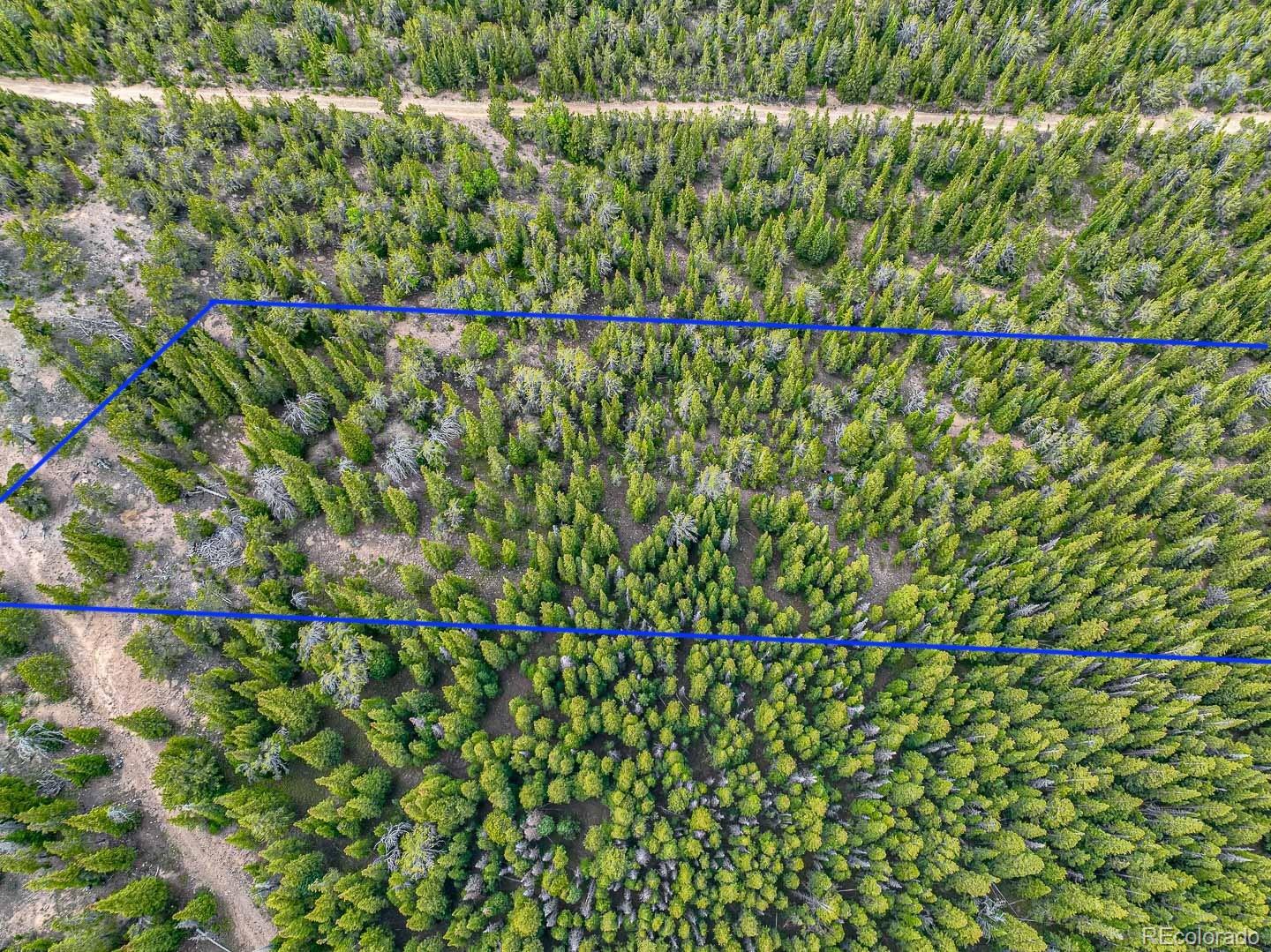 111 Mosquito Creek Road