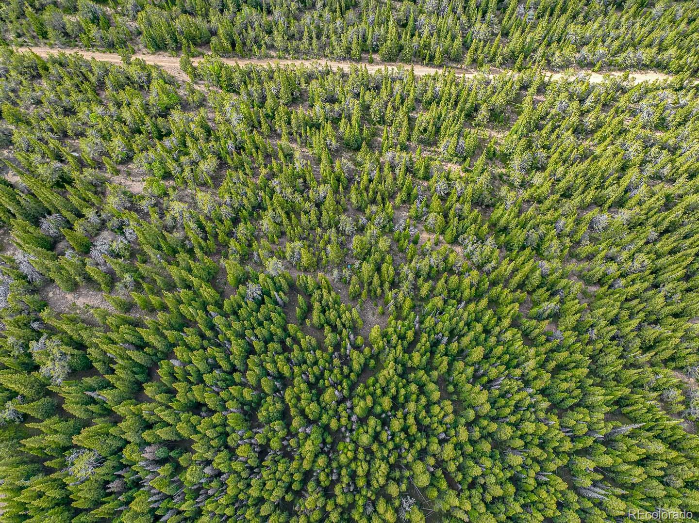 111 Mosquito Creek Road