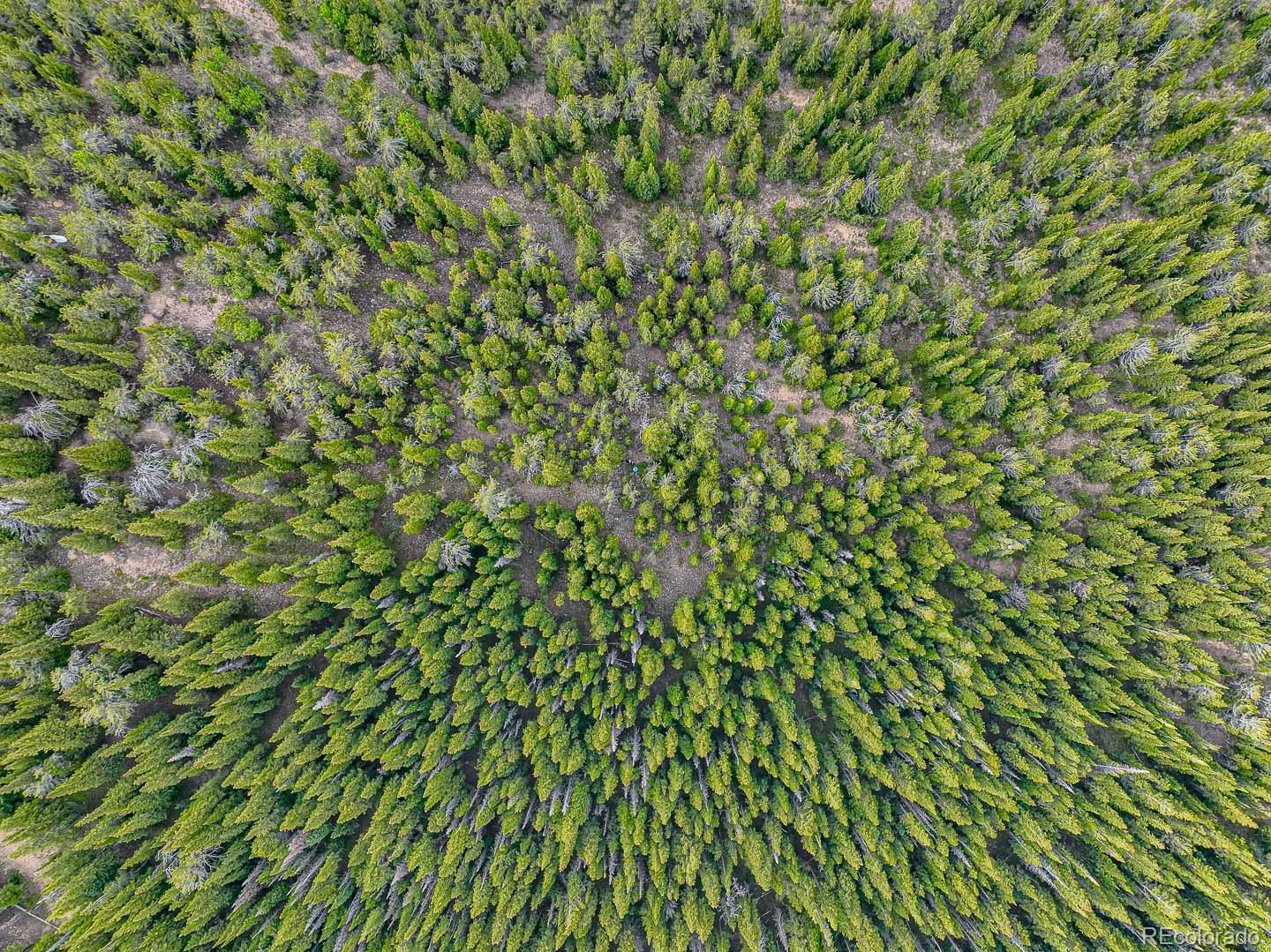 111 Mosquito Creek Road