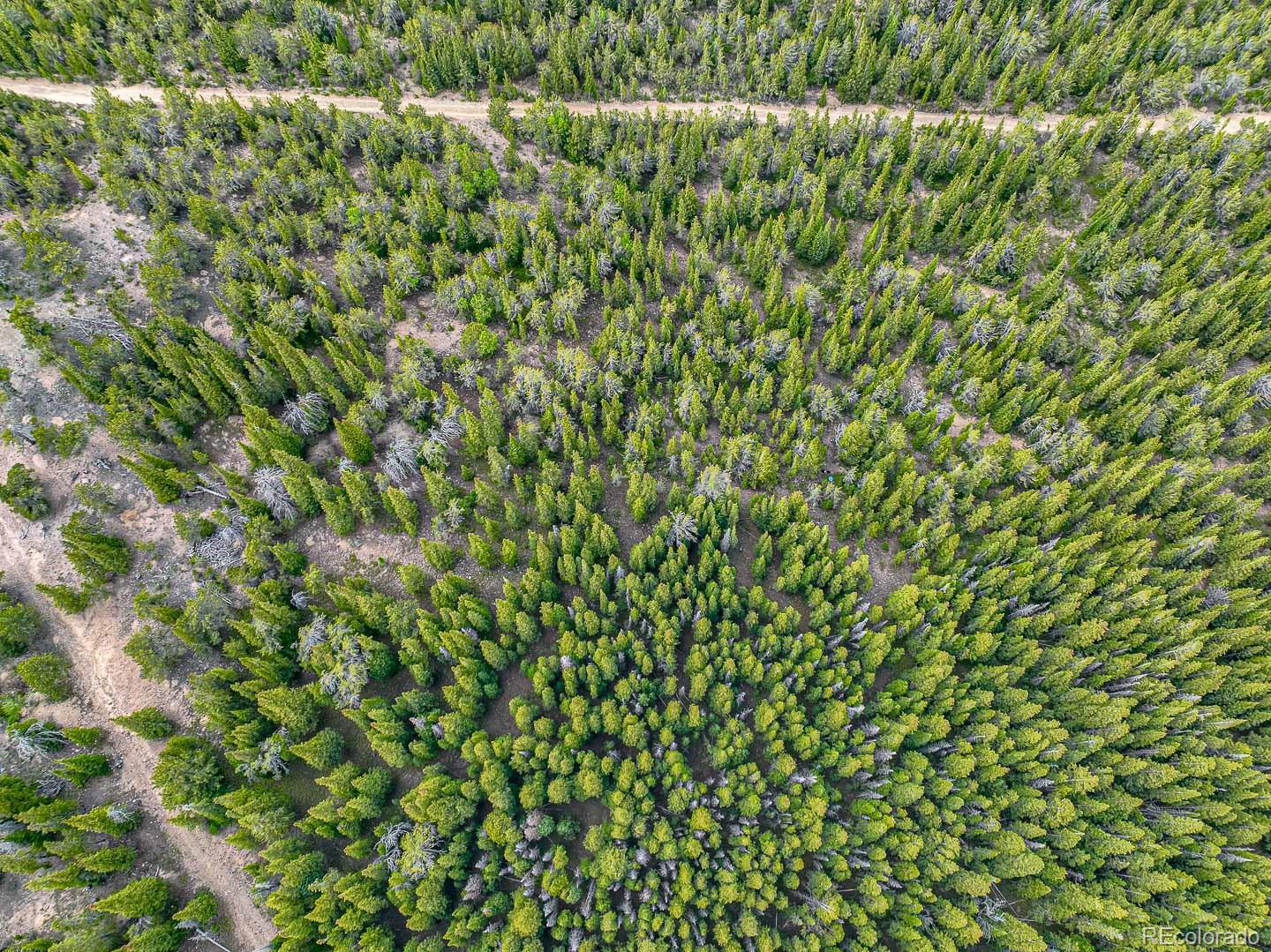 111 Mosquito Creek Road