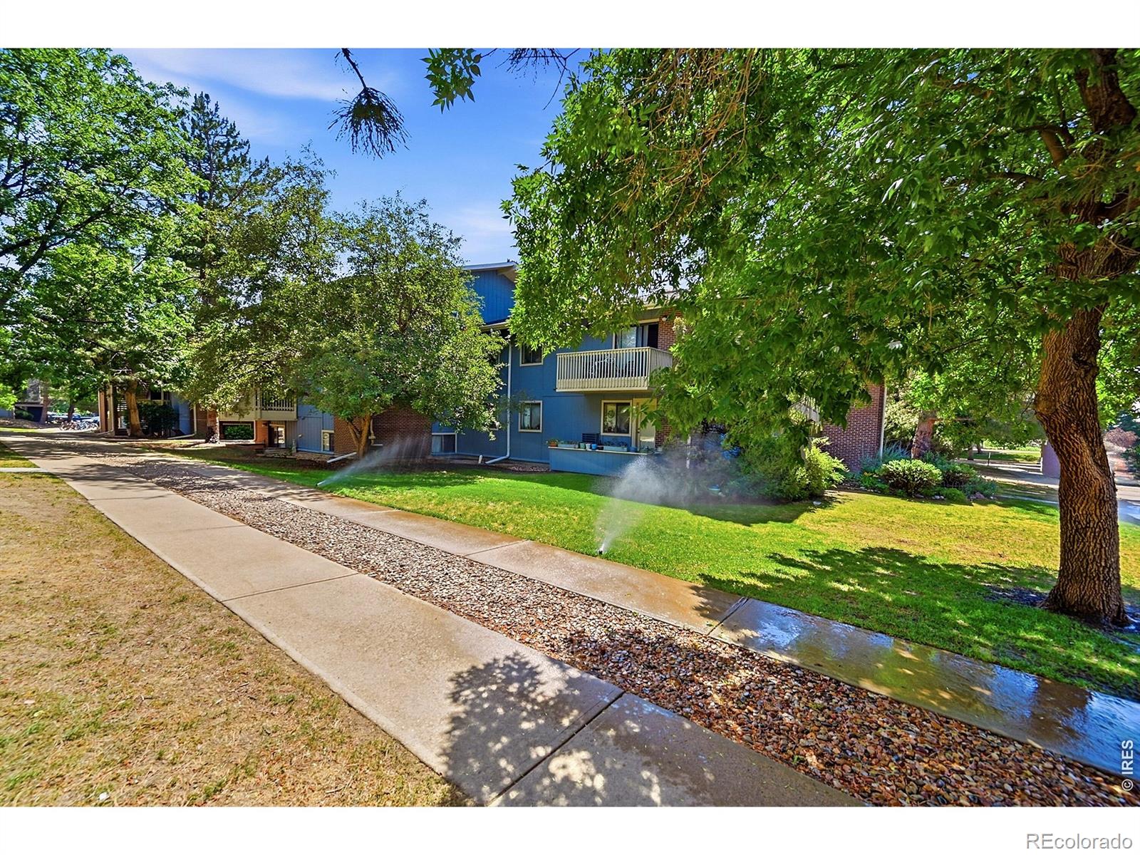 2800 Kalmia Avenue C-113