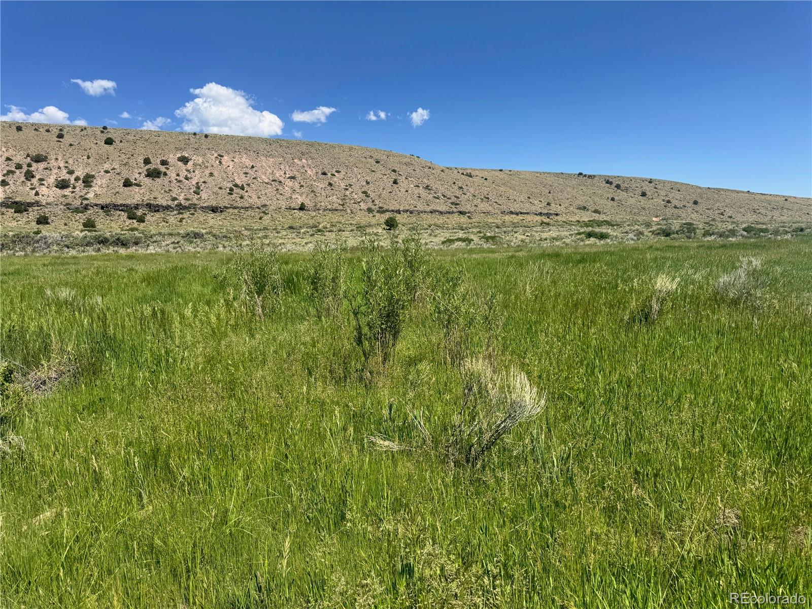 Lot 8 Canyon Road