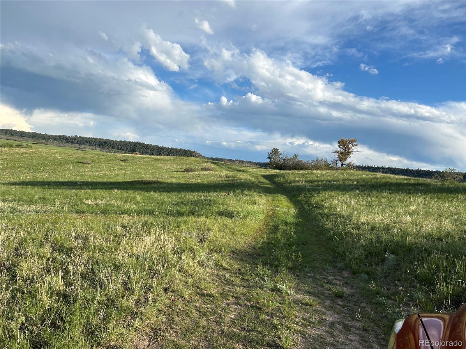 Castlewood Canyon Road