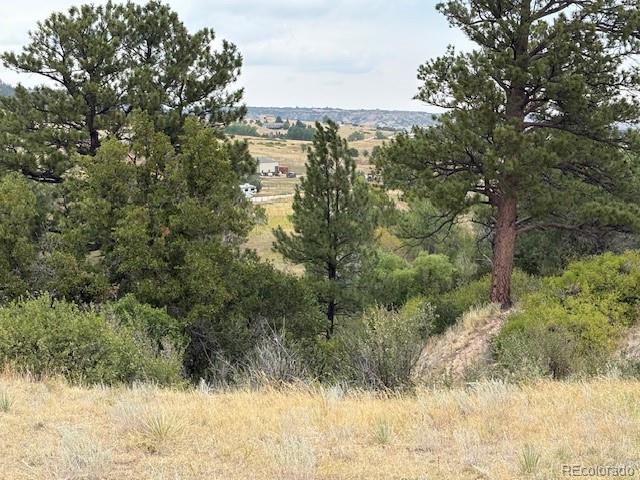 Castlewood Canyon Road