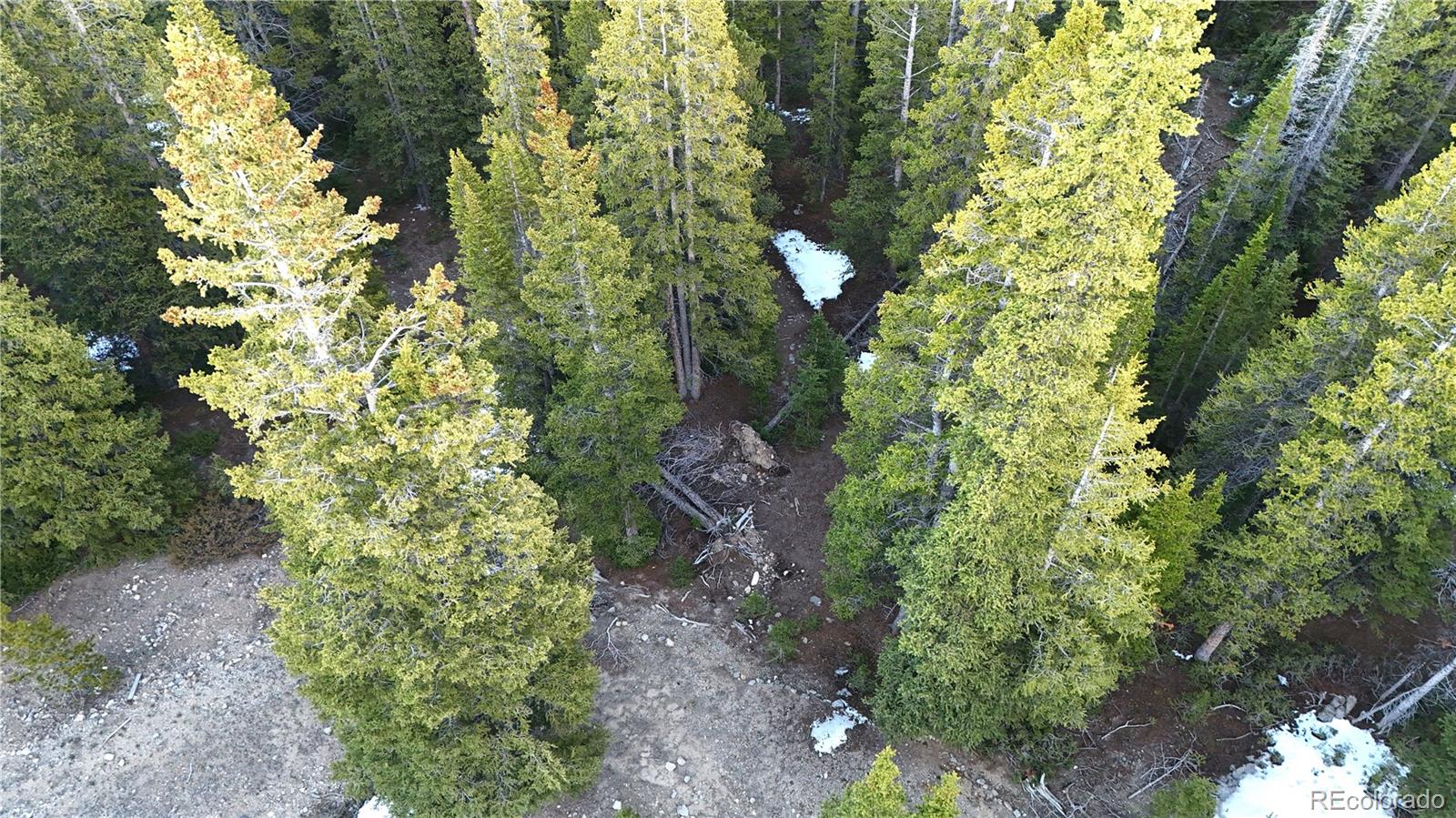252 Silverheels Place
