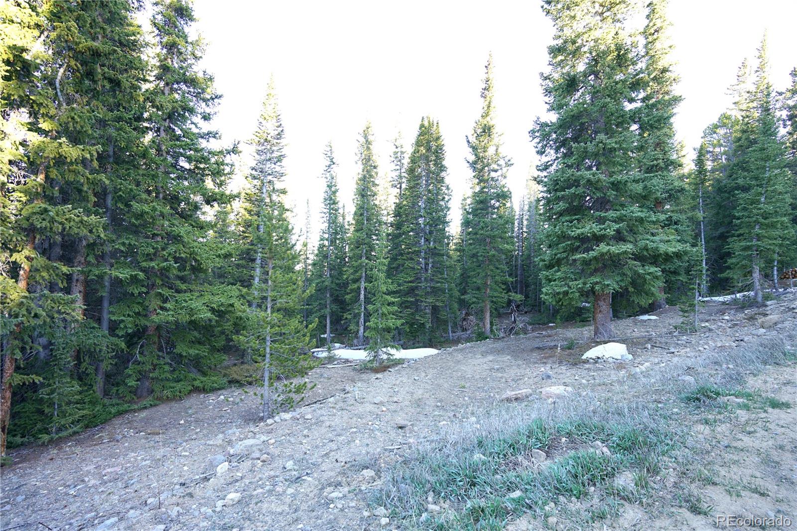 252 Silverheels Place
