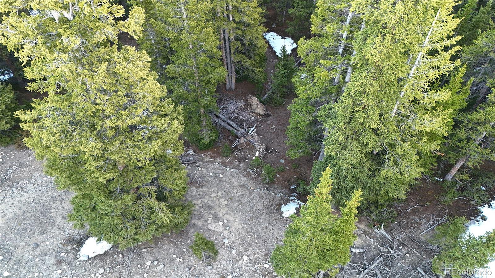 252 Silverheels Place