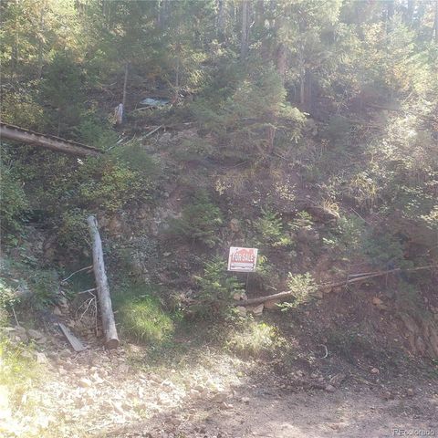 Backwoods Trail, Evergreen, CO 80439 - #: 7474769
